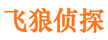 铁锋私家调查公司